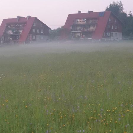 Apartament Wrzos Bieszczady Czarna  Exteriör bild