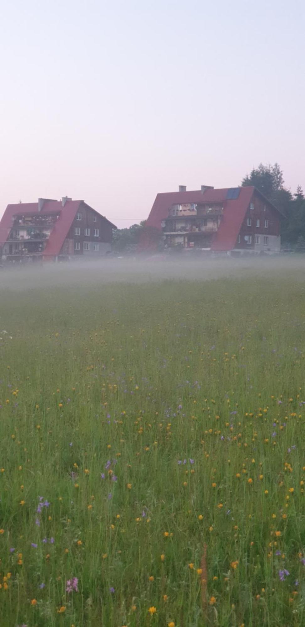 Apartament Wrzos Bieszczady Czarna  Exteriör bild